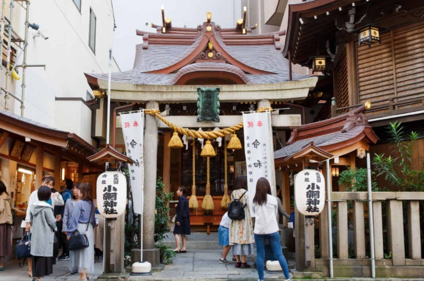 Credit :: https://flipjapanguide.com