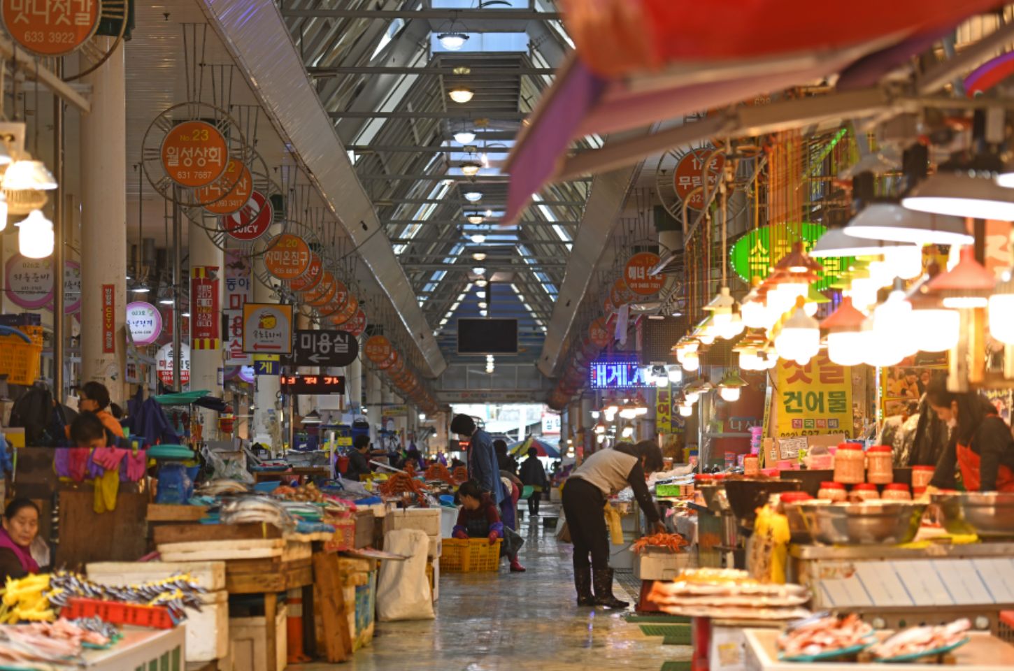 Credit :: Visit Korea