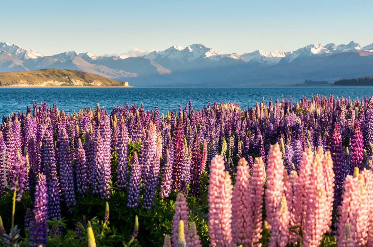 Credit :: Discover New Zealand