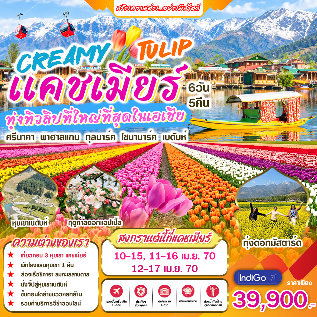ทัวร์อินเดีย CREAMY TULIP แคชเมียร์ทุ่งทิวลิปที่ใหญ่ที่สุดในเอเชีย 6วัน 5คืน (6E)